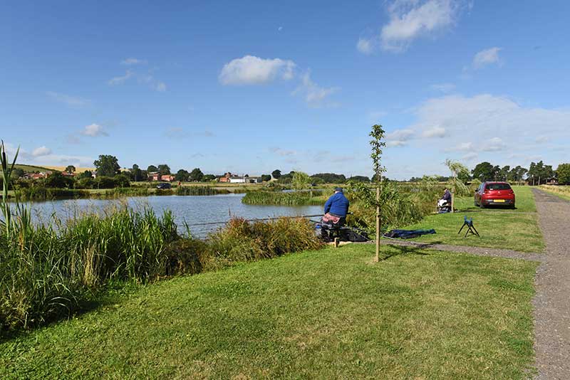 mirror and common carp fishing lake, springvale Road, Bevercotes, Nottinghamshire