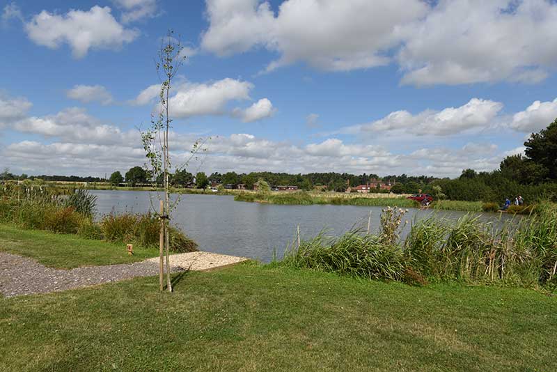 Springvale Fishing Lakes, Springvale Farm, Bevercotes, Nottinghamshire