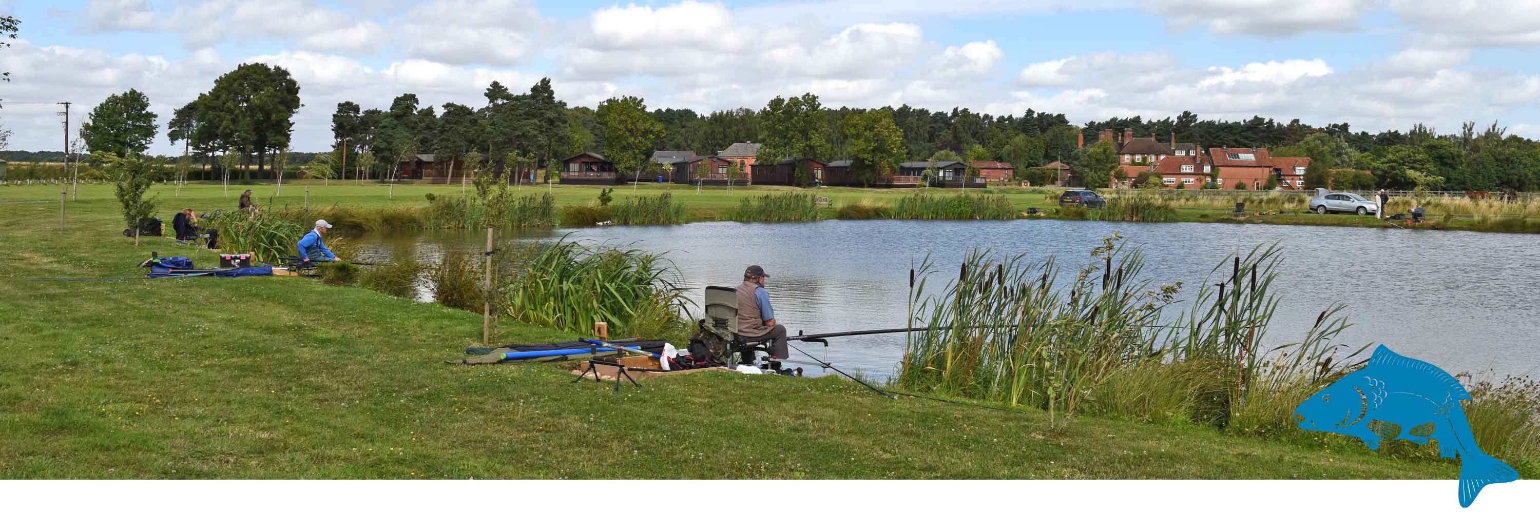 Mirror and Common Carp Fishing, Bevercotes, Newark, Notts