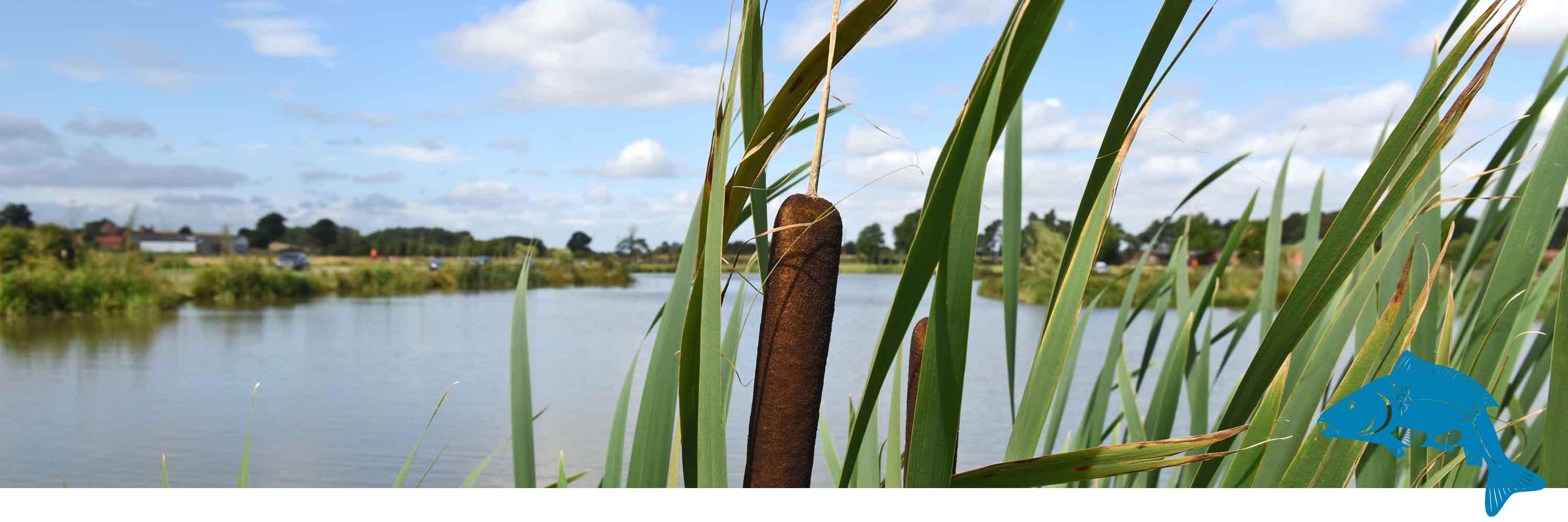 Coarse Fishing, Newark, Nottinghamshire