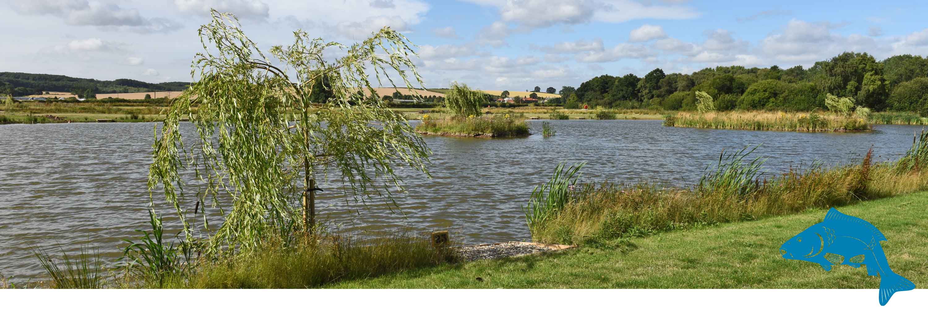 Mirror and Common Carp Fishing, Bevercotes, Newark, Notts