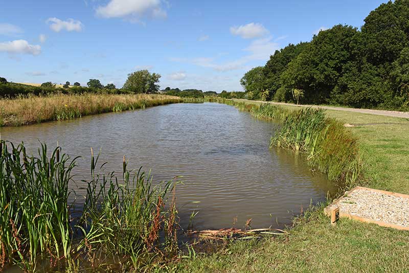 silver fish fishing lake Newark, Nottinghamshire